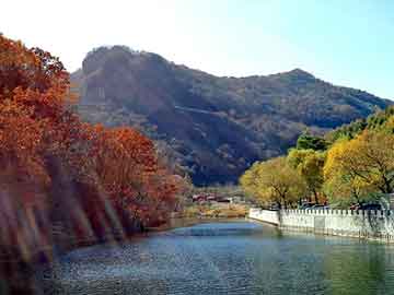 澳门二四六天天免费好材料，油田油井试压泵